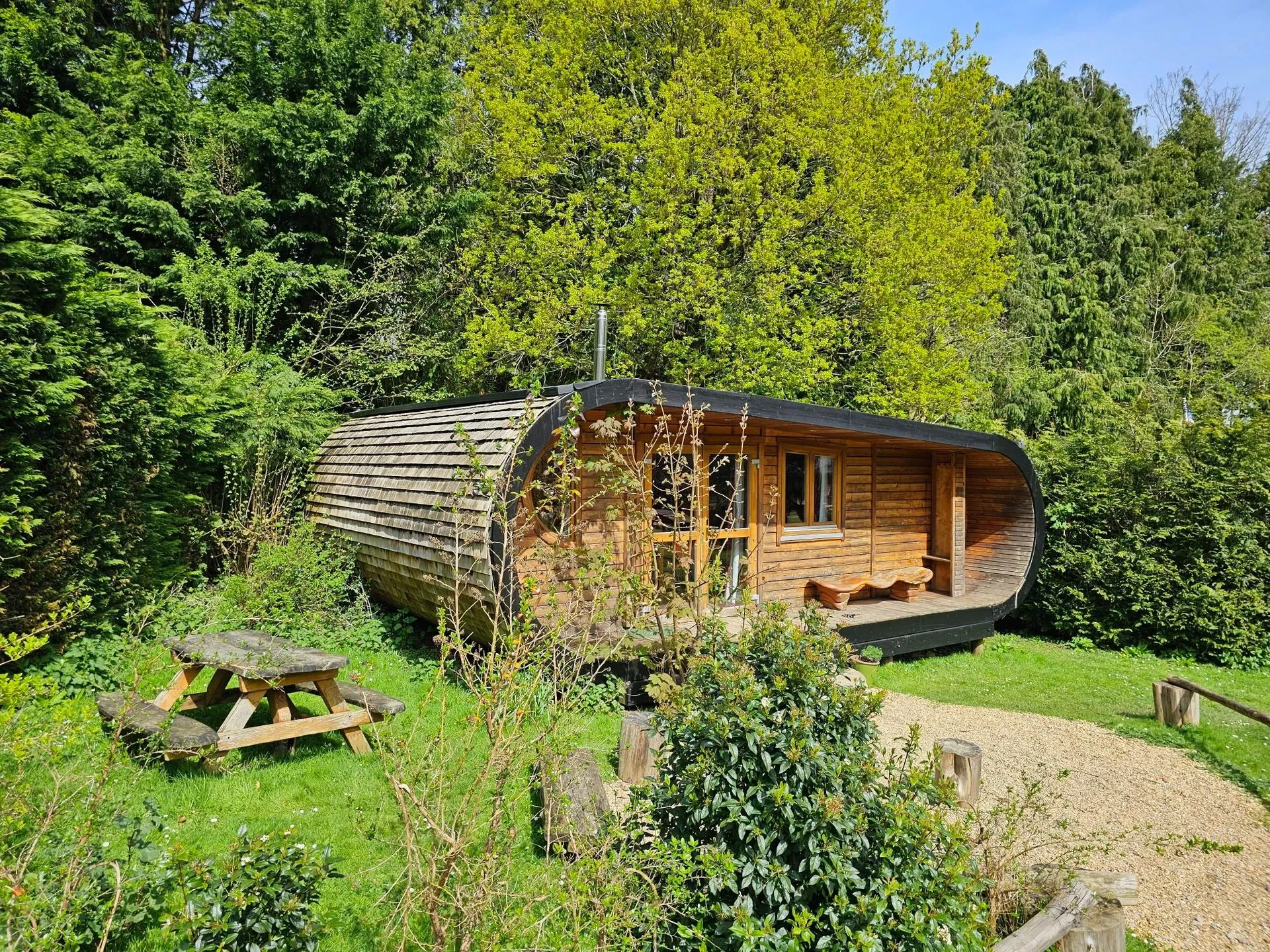 Curvy Cabin